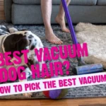 A Guide to Using HEPA Filtration for Pet Hair: Choosing a Smart Vacuum Cleaner