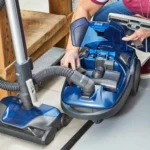 Choosing the Ideal Suction Power for Your Vacuum Cleaner to Clean Pet Hair