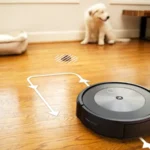 Why You Should Train Your Pet to Use a Smart Vacuum Cleaner