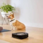 Different Methods of Training Your Pet to Be Comfortable with a Smart Vacuum Cleaner
