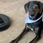 How Smart Vacuum Cleaners Make Pet Care Easier