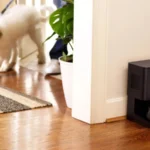 Smart Vacuums: The Pet-Friendly Gadgets that Save the Environment