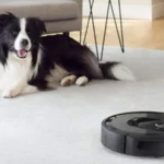 Top 5 Smart Vacuum Cleaners for Pet Hair