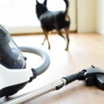 How to Choose the Right Smart Vacuum Cleaner for Your Home with Pets