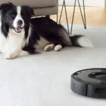 Improving Indoor Air Quality with Automatic Dirt Disposal Vacuum Cleaner