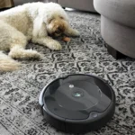 The Best Robot Vacuum Cleaners for Pet Hair Removal