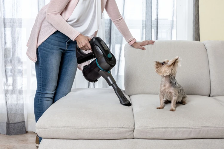 Best Smart Vacuum Cleaners For Pet Allergies