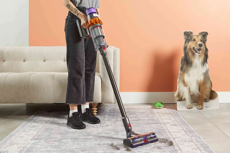 Factors To Consider When Choosing A Smart Vacuum Cleaner For Pet Hair