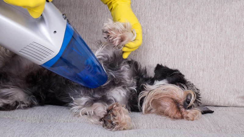 How Do Smart Vacuum Cleaners Handle Pet Hair Shedding?