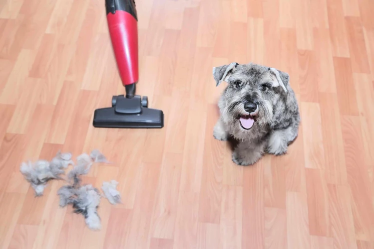 How To Train Your Pet To Use A Smart Vacuum Cleaner