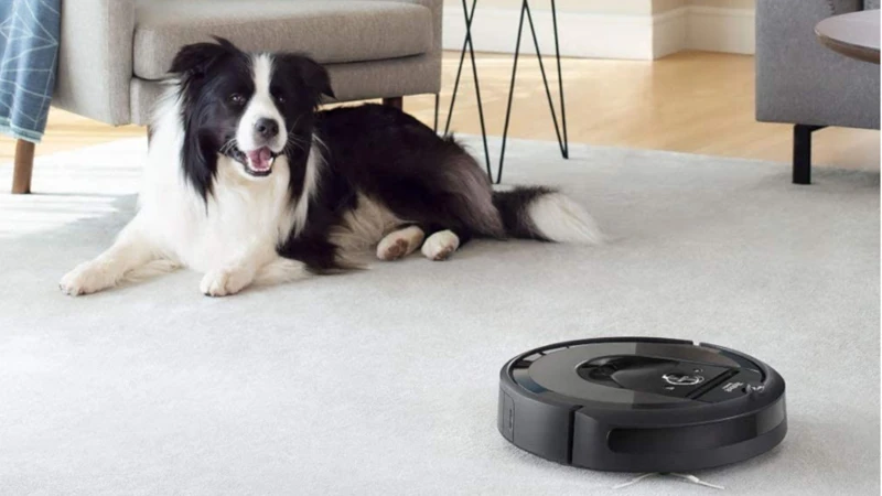 Smart Features To Look For In A Pet-Friendly Vacuum Cleaner