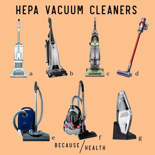The Importance Of Vacuuming