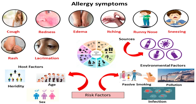 The Science Behind Allergy And Asthma