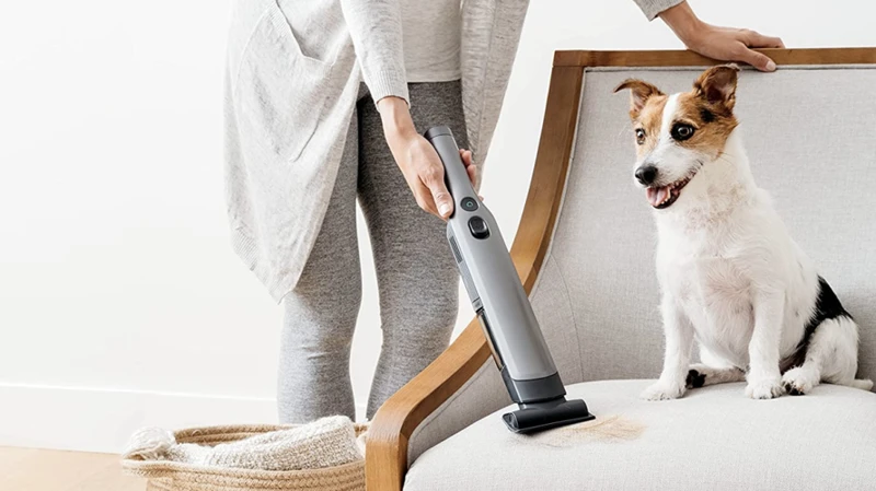 Top 10 Handheld Vacuum Cleaners For Pet Hair Removal