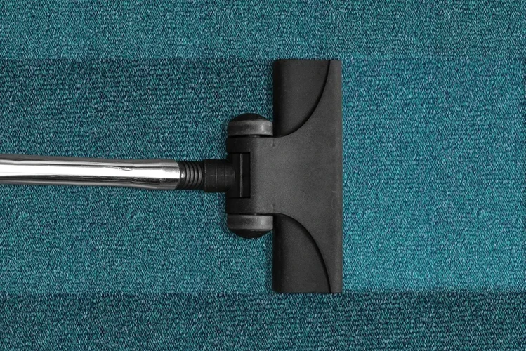 Top Eco-Friendly Materials For Your Vacuum Cleaner