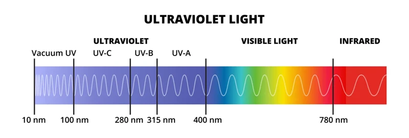 Uv Light Explained