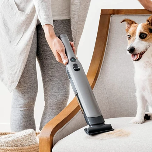 Why Suction Power Is Important For Pet Hair Removal